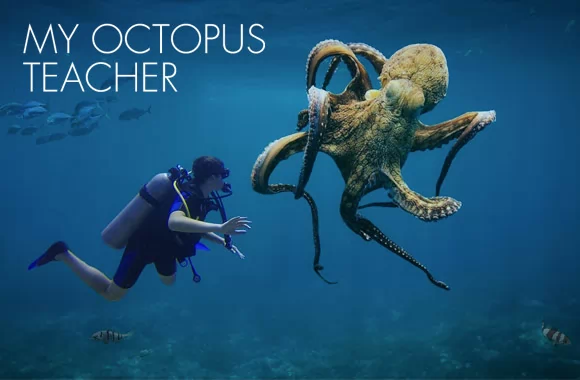 My Octopus Teacher